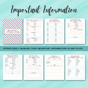 Multicolor Printable Home Management Binder