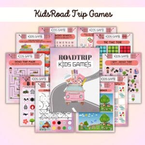 Pink Road Trip Planner Or Binder