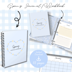 Blue Spring Journal Image