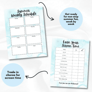 Blue Summer Planner Or Binder