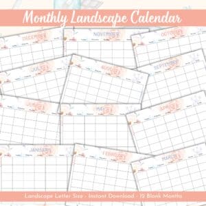 Peach Healthcare Worker & Nurse Planner Or Binder Promo Image