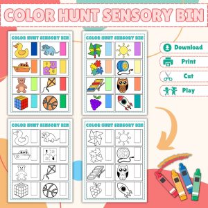 Color Hunt Sensory Bin