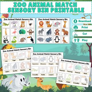 Zoo Animal Match Sensory Bin