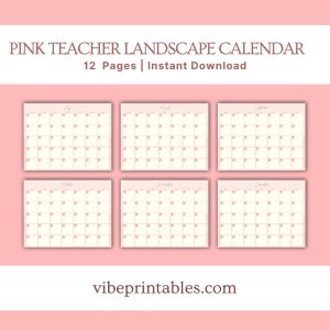 Pink Teacher Planner Or Binder