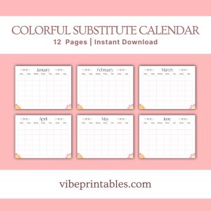 Colorful Substitute Planner Or Binder