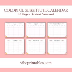 Colorful Substitute Planner Or Binder