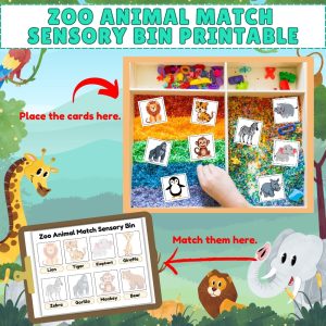 Zoo Animal Match Sensory Bin