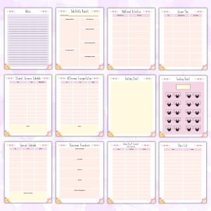 Colorful Substitute Planner Or Binder