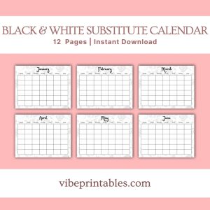 Black & White Substitute Planner Or Binder