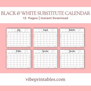 Black & White Substitute Planner Or Binder