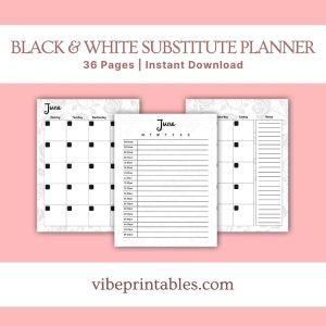 Black & White Substitute Planner Or Binder