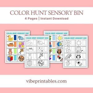 Color Hunt Sensory Bin For Kids